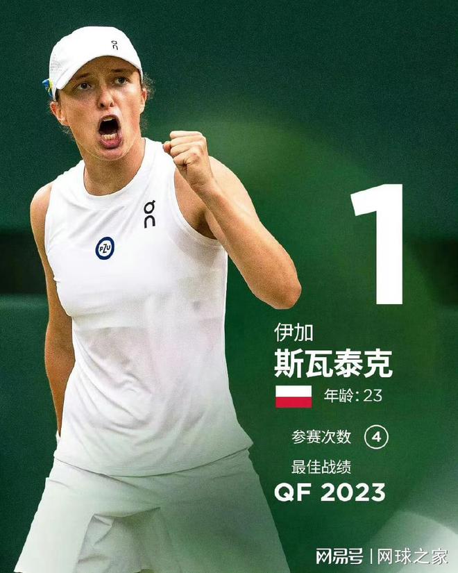 鹈鹕的体系 鹈鹕的体系