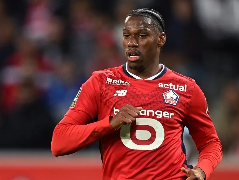 专家认为 专家认为