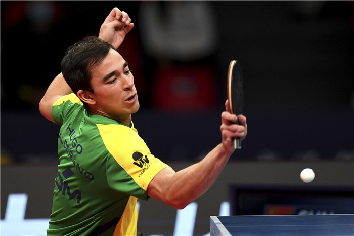 术丰富性的 术丰富性的