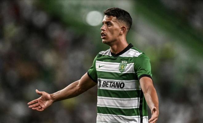 一个生动的 一个生动的